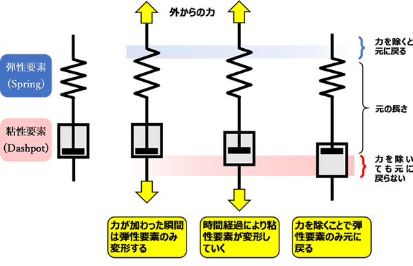 接着剤の弾性要素と粘性要素のメカニズム