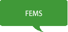 FEMS