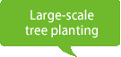 Large-scale tree planting