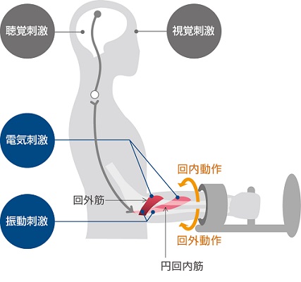 https://www.yaskawa.co.jp/wp-content/uploads/2018/10/zenwan04.jpg