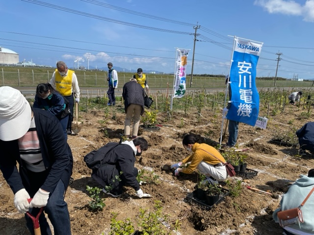 どんぐり植樹会