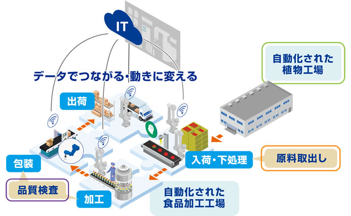 図1　植物工場と食品加工工場の自動化工程イメージ