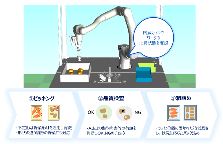 野菜の箱詰め作業の自動化